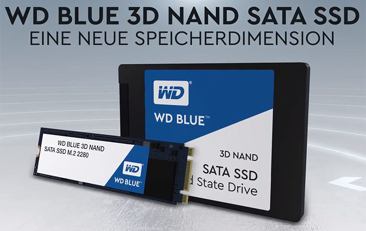 Ổ Cứng SSD WD Blue 3D NAND WDS100T2B0B 1TB M.2 2280 - Hàng Nhập Khẩu