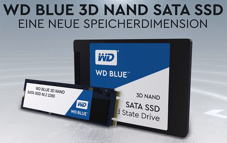 Ổ Cứng SSD WD Blue 3D NAND WDS100T2B0B 1TB M.2 2280 - Hàng Nhập Khẩu