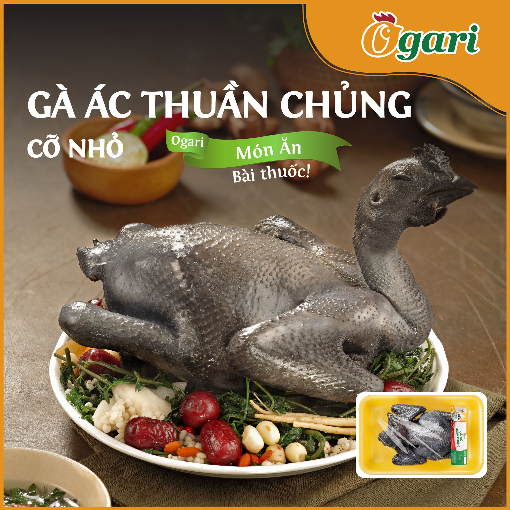 Ogari - gà ác thuần chủng