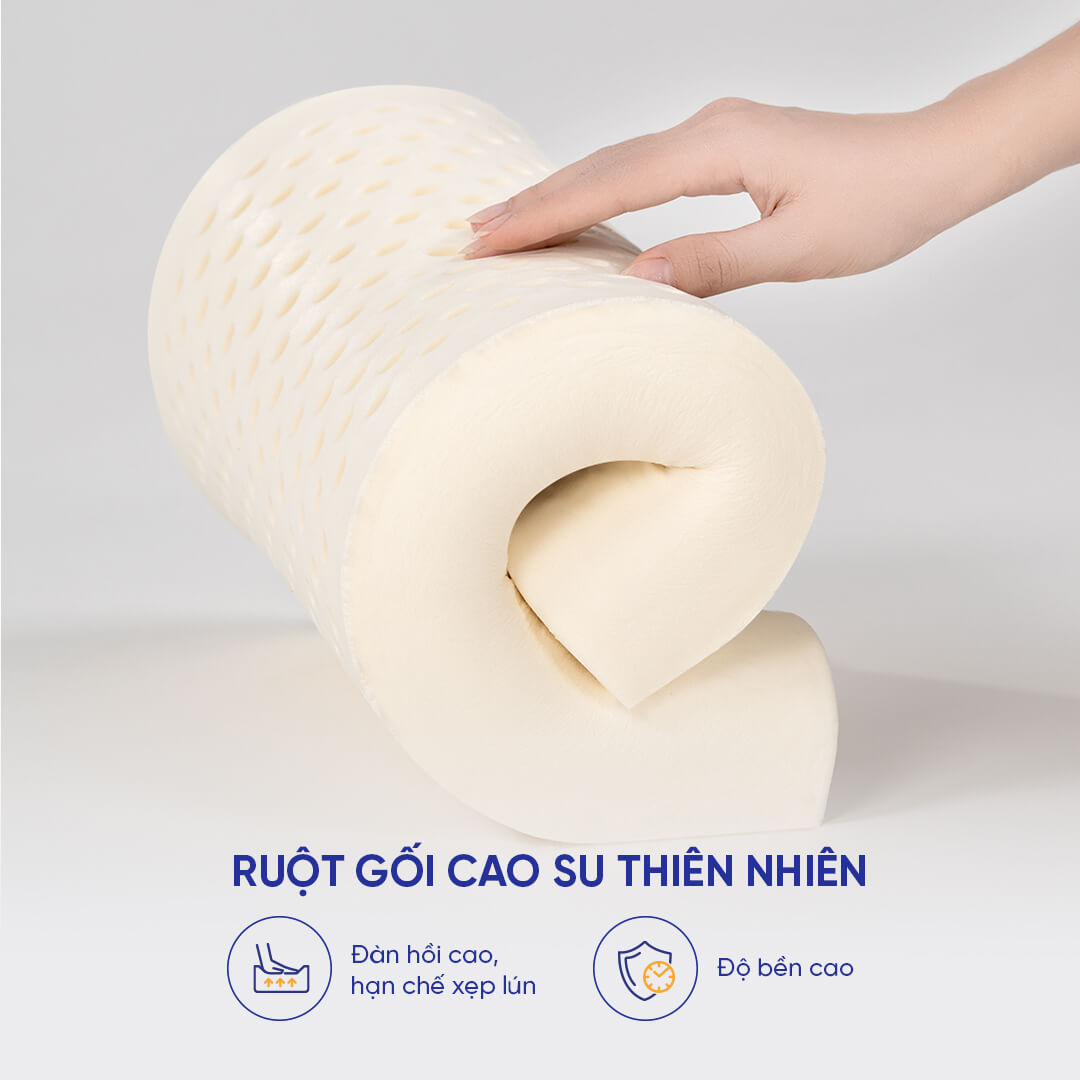 Gối cao su Gummi Contour Pudding 26*43
