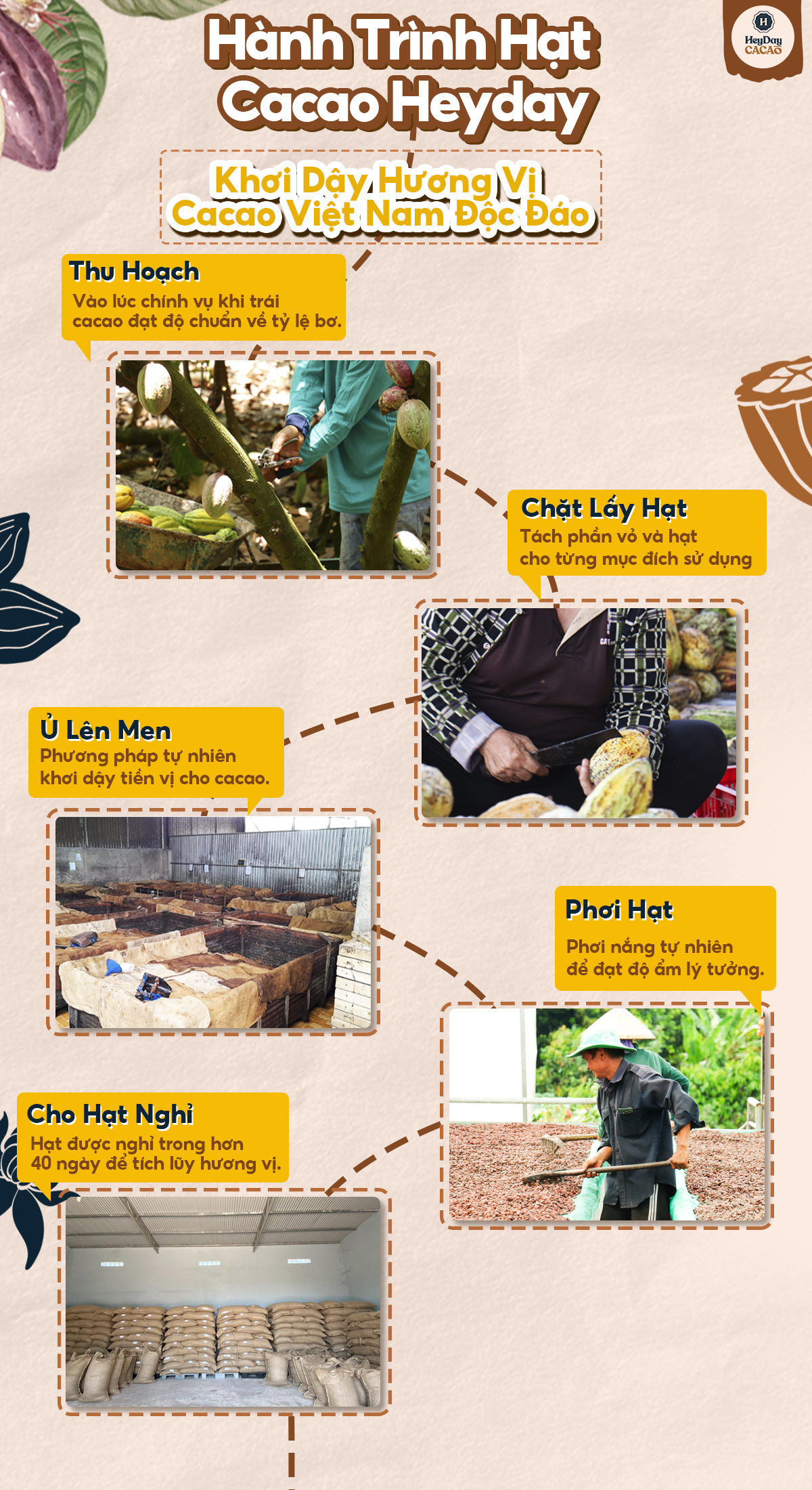 Heyday Bột Cacao Nguyên Chất Không Đường Việt Nam - Dòng Origin - Chứng Nhận UTZ - Hỗ Trợ Giảm Cân - Túi Giấy 250g