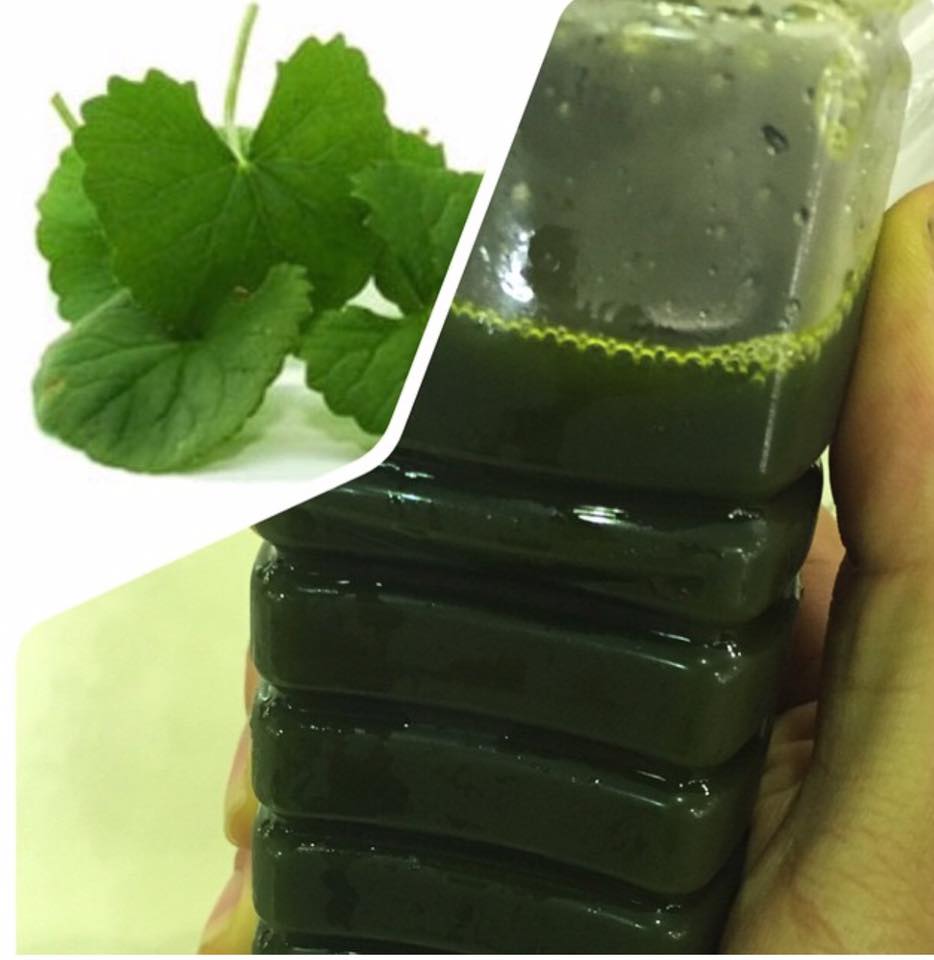 Bột rau má Quảng Thanh nguyên chất 100g
