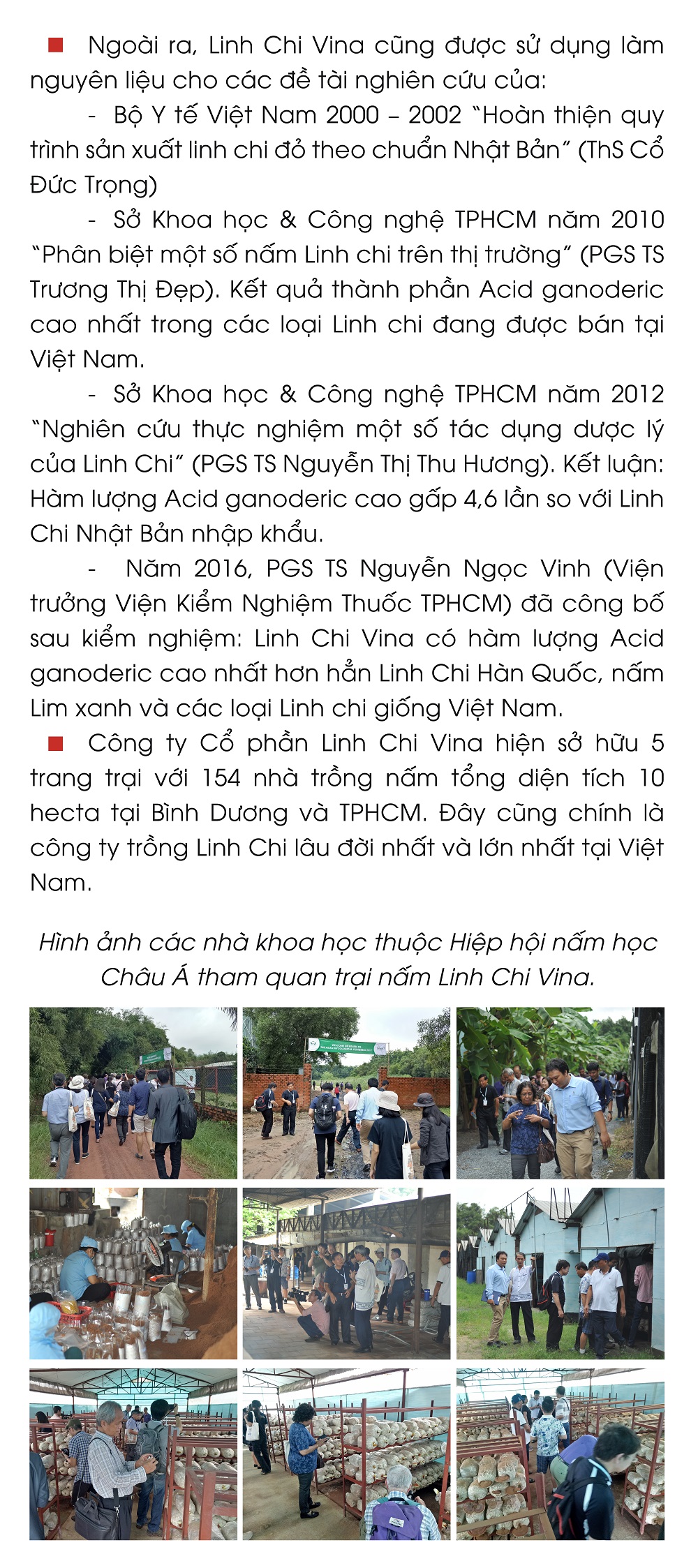 Nấm Xích Linh Chi Nhật thượng hạng - Cắt lát - Hộp 500g - Linh Chi Vina