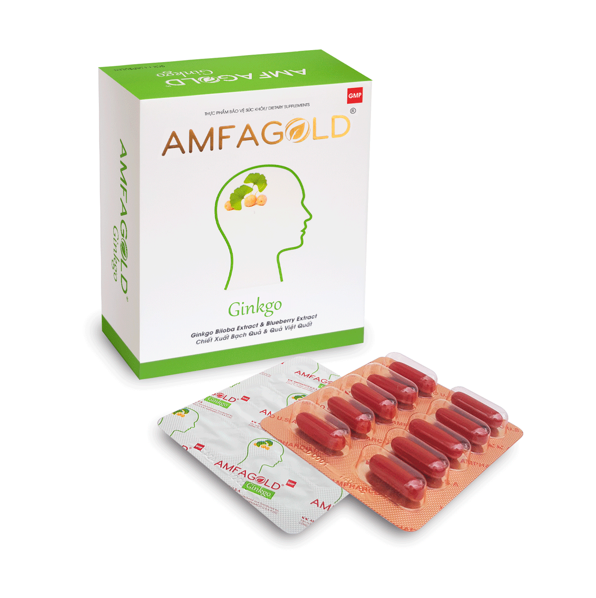 Thực phẩm bảo vệ sức khỏe Amfagold Ginkgo