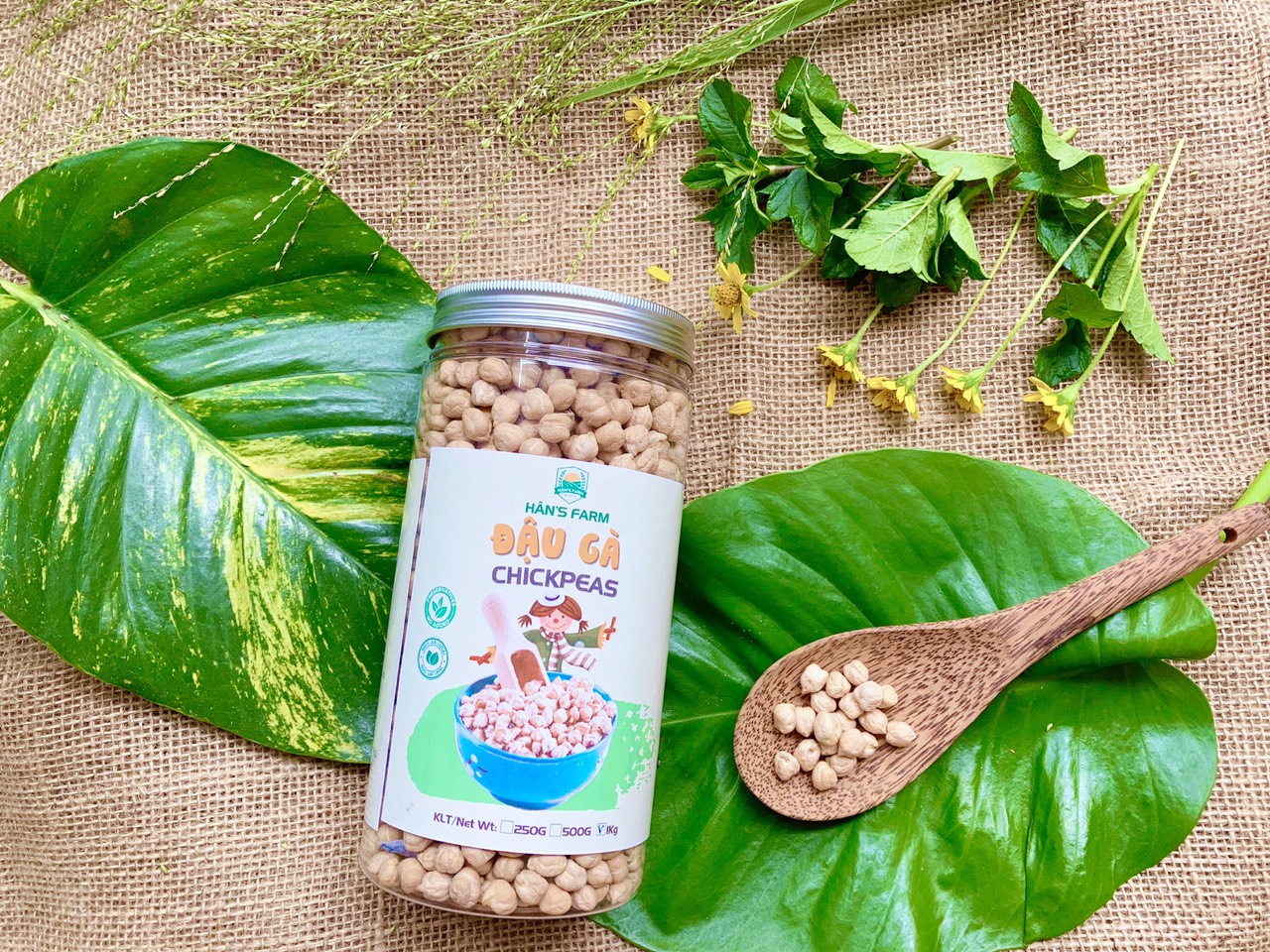 Hạt đậu gà không biến đổi gen Ấn độ/Canada size 9mm up_Chickpeas non GMO from India/Canada