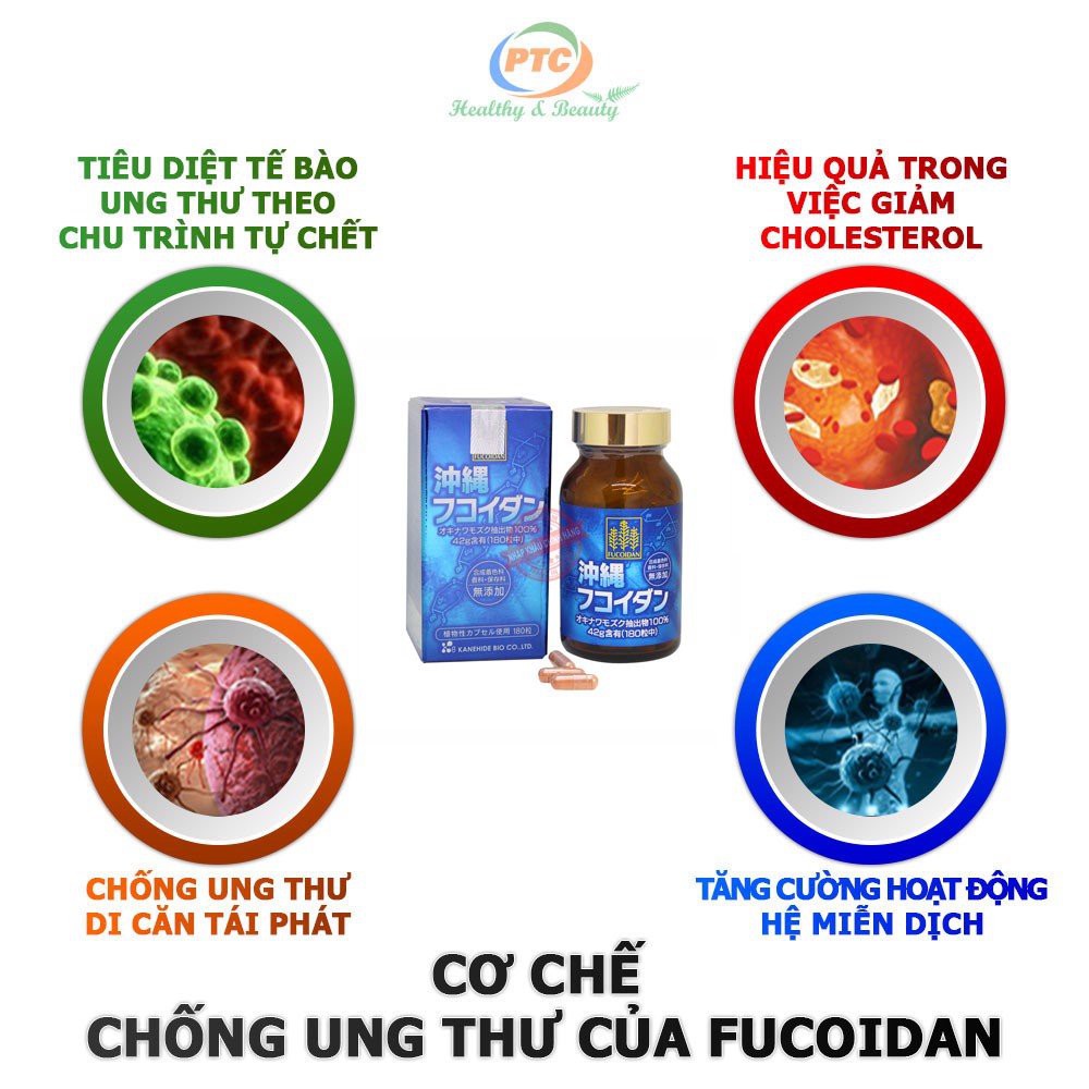 Viên Uống Kanehide Bio Fucoidan Okinawa Hộ Trợ Ức Chế Tăng Trưởng Tế Bào Ung Thư - Hộp 180 Viên