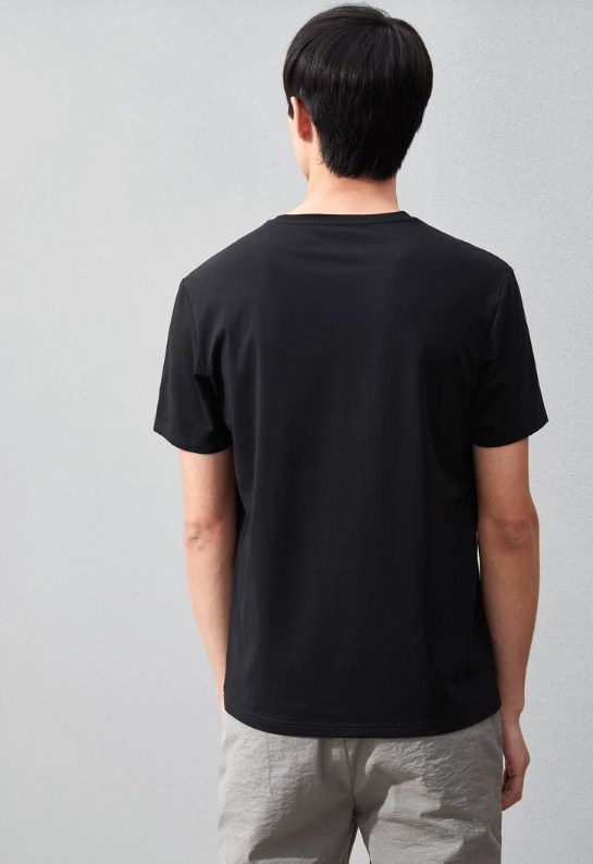 HLA Haishu House Short Sleeve T-Shirt Male 2019 Summer New Fashion Pattern Classic Round Collar Short T Men HNTBJ2R106A 