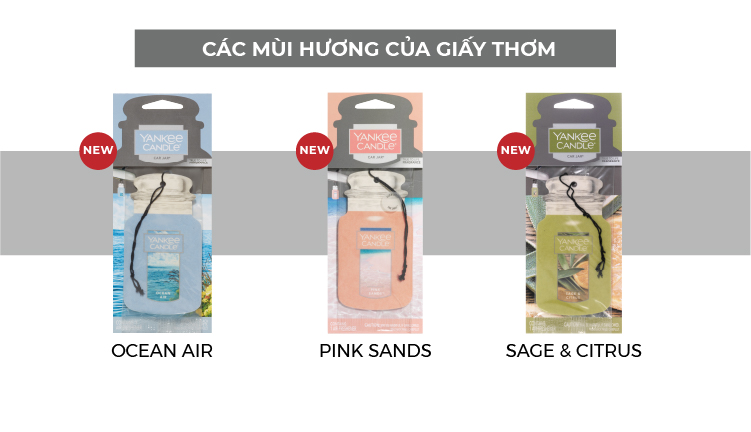 Giấy Thơm Xe Yankee Candle - Ocean Air