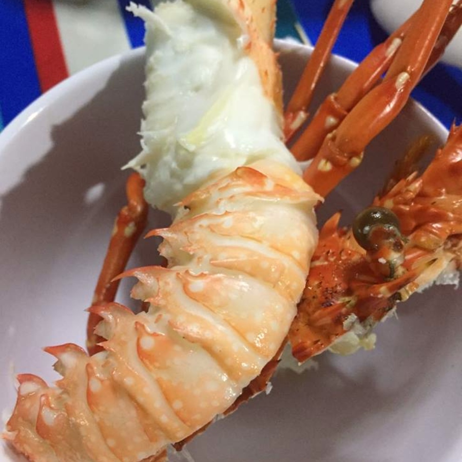 Tôm Hùm Baby Sống (1 Con 350g)