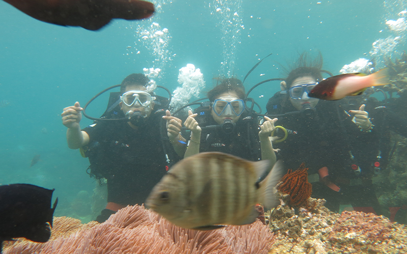 lặn bình khí ngắm san hô scuba diving tại Hòn Mun Nha Trang An Nam Tour
