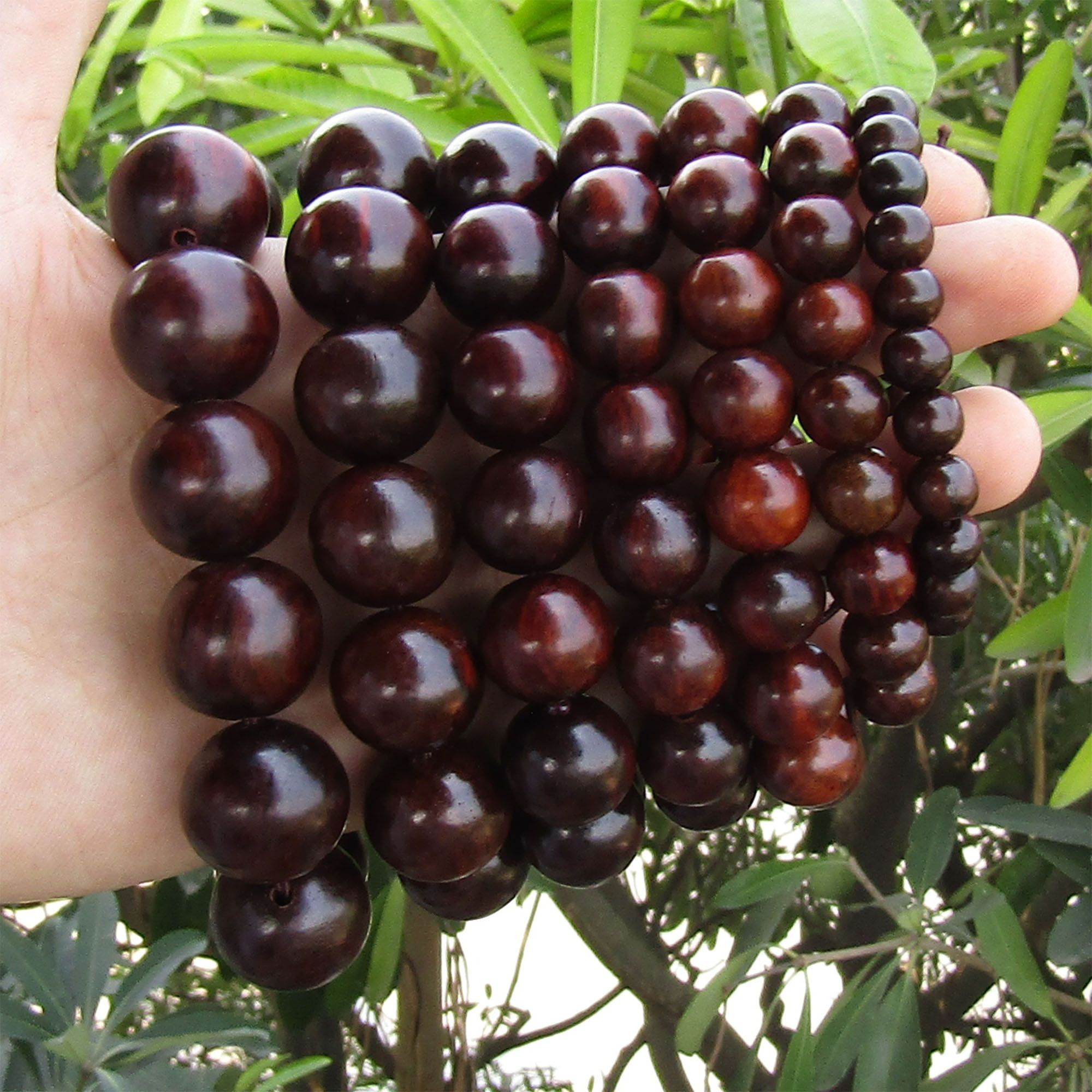 Vòng Gỗ Trắc Đỏ TOKDODO Đủ Size