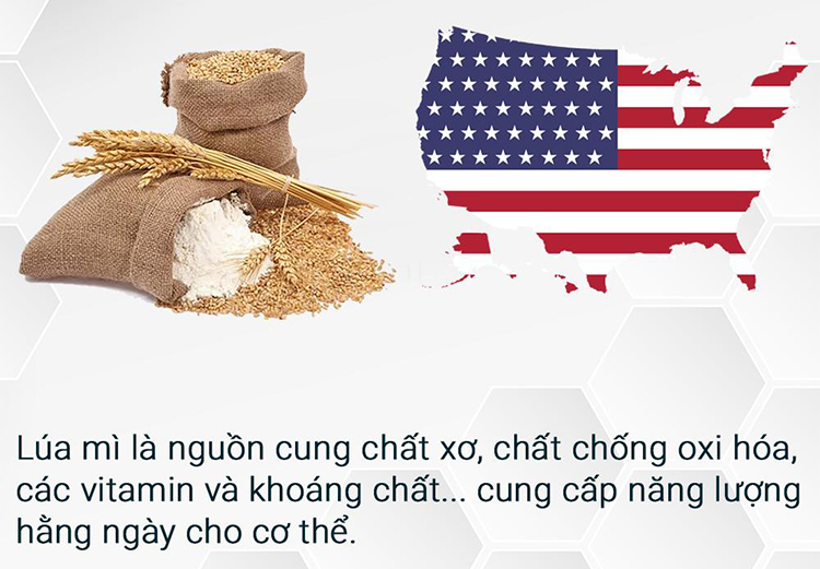 Bánh Wafer Hạt Chia Mr Côôp Lai Phú(Lon 170g)