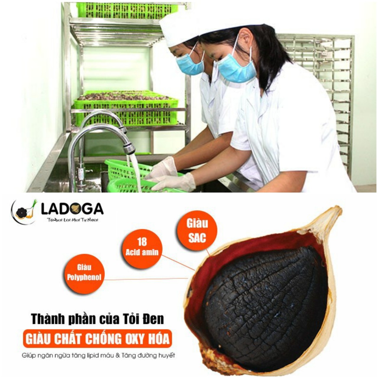 Tỏi đen LAGADO - HỘP 500g 5