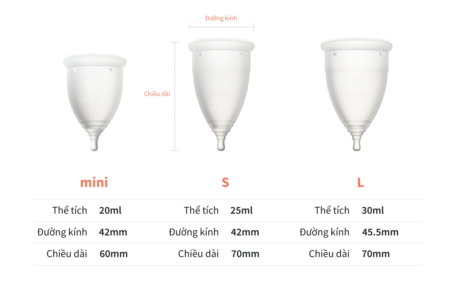 Cốc Nguyệt San EVE CUP 100% silicone Y Tế, chuẩn FDA Hoa Kỳ - Hỗ trợ chu kỳ 3