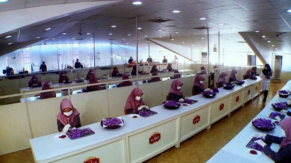 Nhụy hoa nghệ tây Iran Bahraman Saffron ( 5gram )