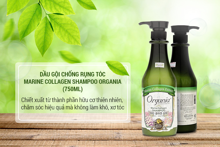 Dầu Gội Ngăn Ngừa Rụng Tóc Marine Collagen Shampoo Organia (750ml) | Tiki