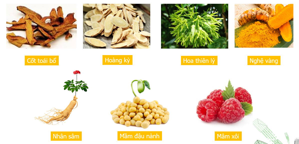 Viên Uống Cân Bằng Nội Tiết Tố Nữ Zlove - Se Khít Cô Bé Hiệu Quả, Hết Khô Hạn, Tăng Ham Muốn