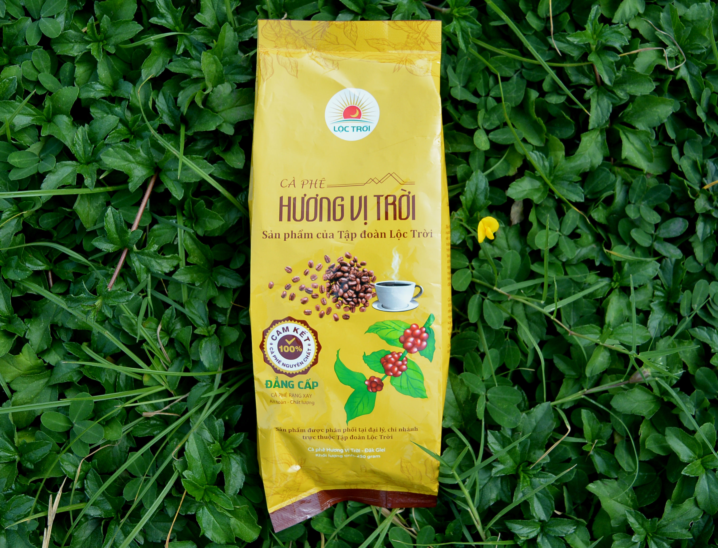 Cà phê Hương Vị Trời Đẳng cấp Nguyên Chất Không Pha Trộn - Cà Phê Thật 100%