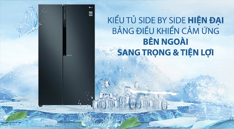 Tủ lạnh Inverter LG GR-B247WB (613L) - Hàng chính hãng - Chỉ giao tại Hà Nội