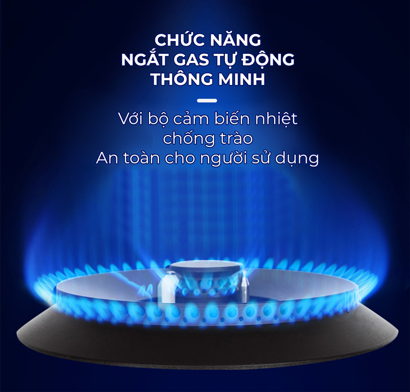 Bếp Gas Âm Nagakawa NAG1751 - Hàng Chính Hãng