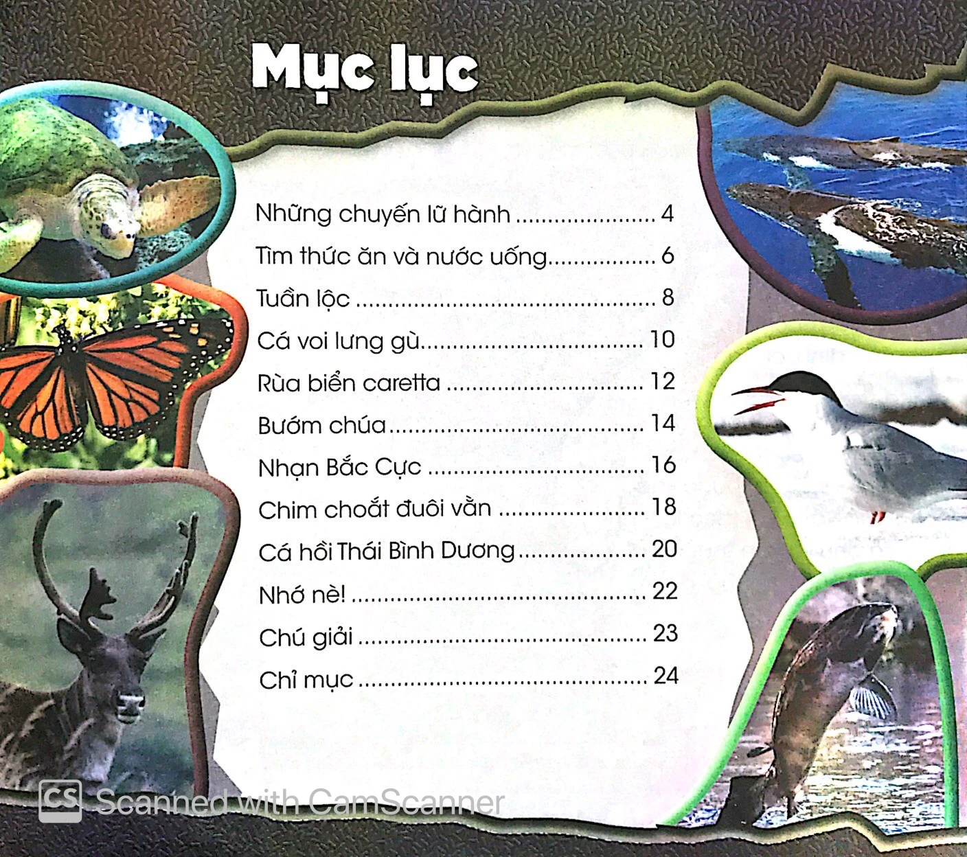 Độc Lạ Phi Thường - Lữ Khách Thường Niên