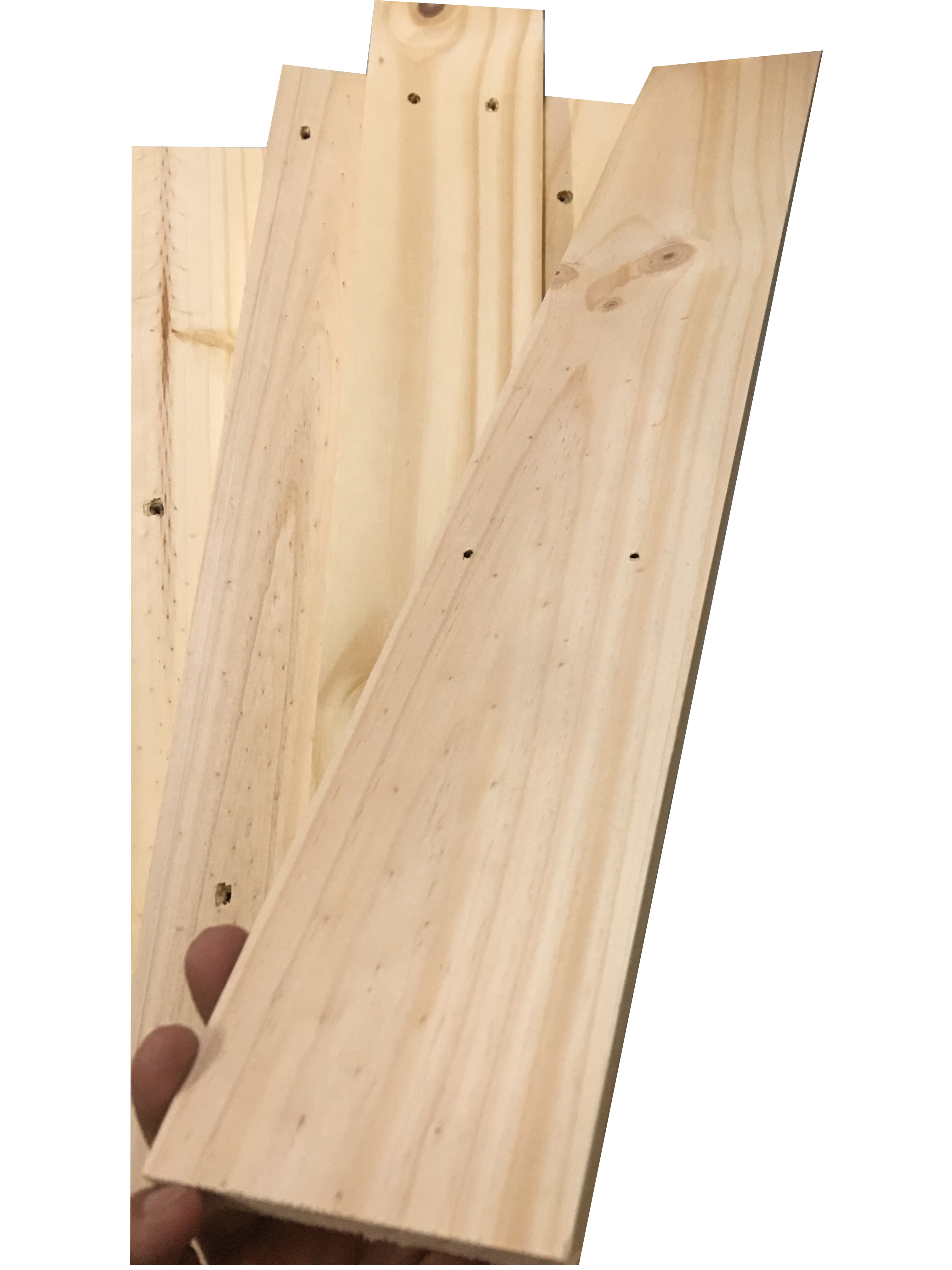 gỗ thông