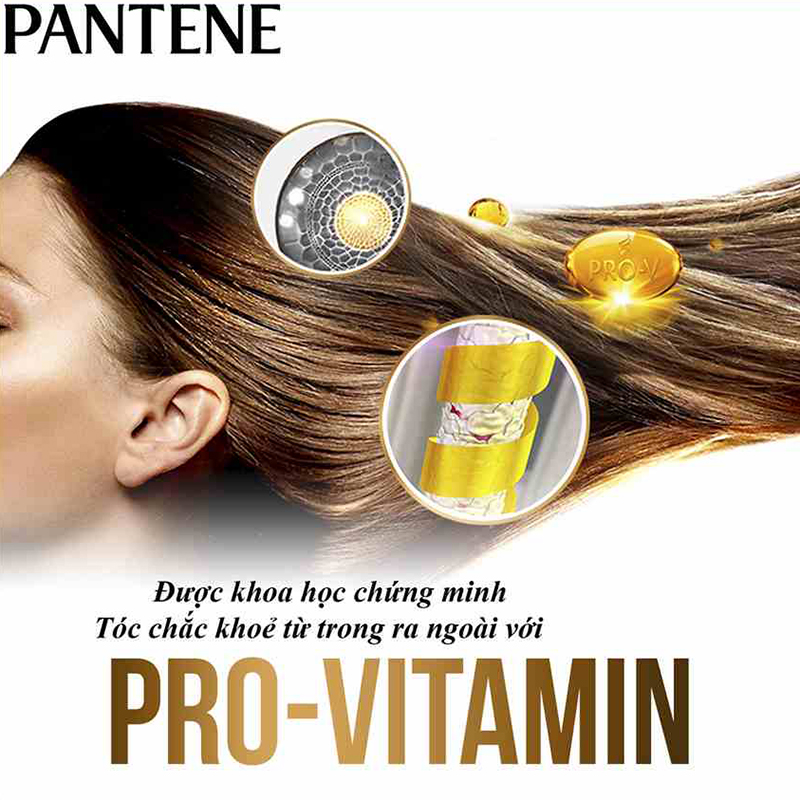Dầu Gội Pantene Ngăn Rụng Tóc (1200g)