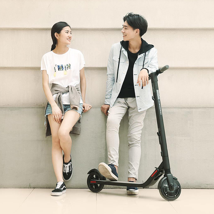 Lectric Scooter Ninebot KiskScooter ES1