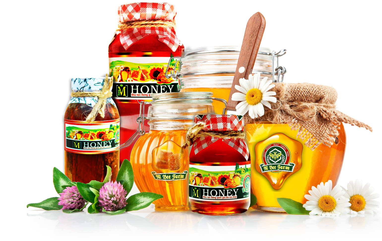 M Honey - Mật ong ngâm Gừng huyết - Hỗ trợ phòng chống ung thư - 300ml