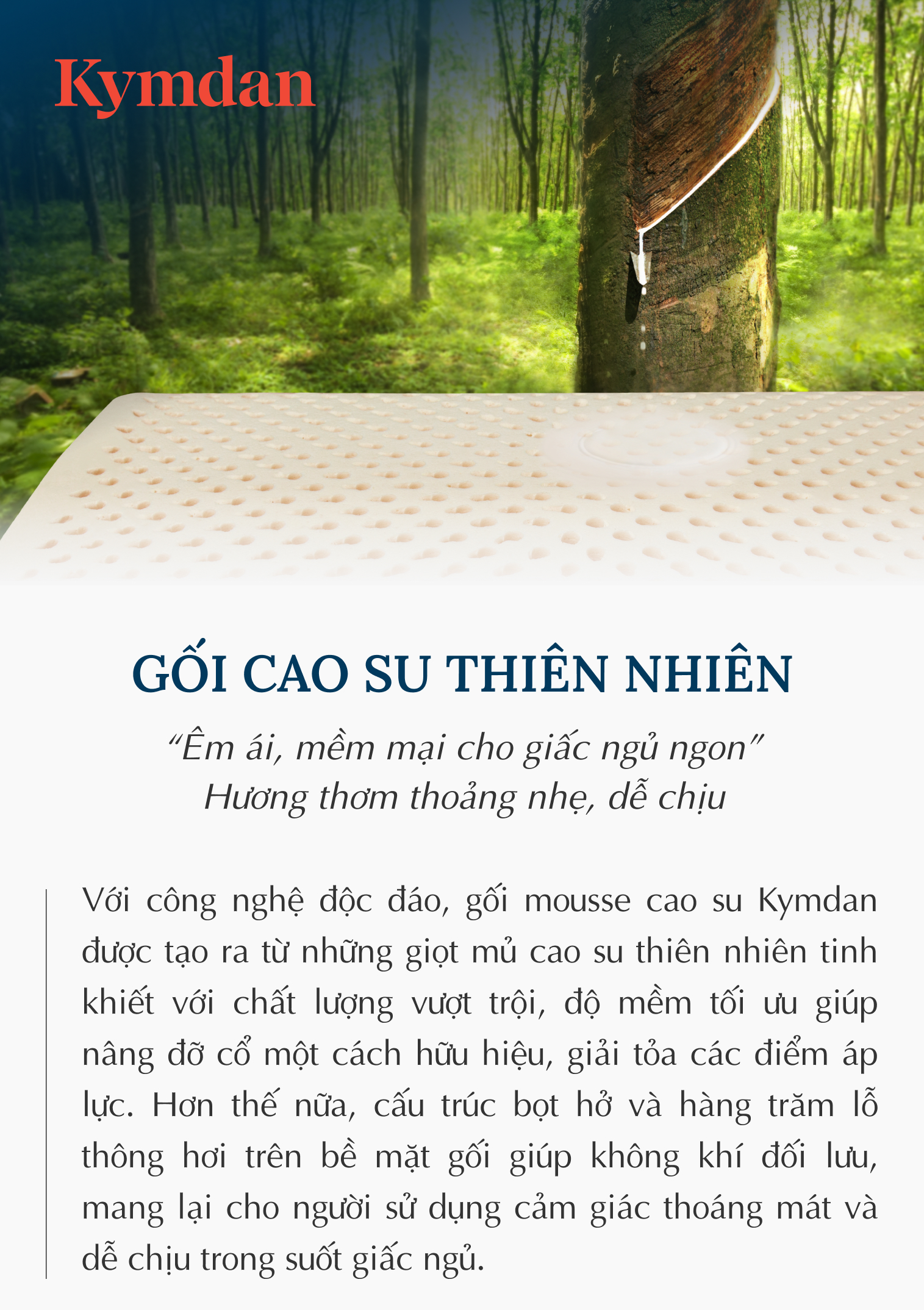 Gối cao su thiên nhiên Kymdan Pillow Glory Air 60 x 38 x 8,5 - 5,5 - 8 cm