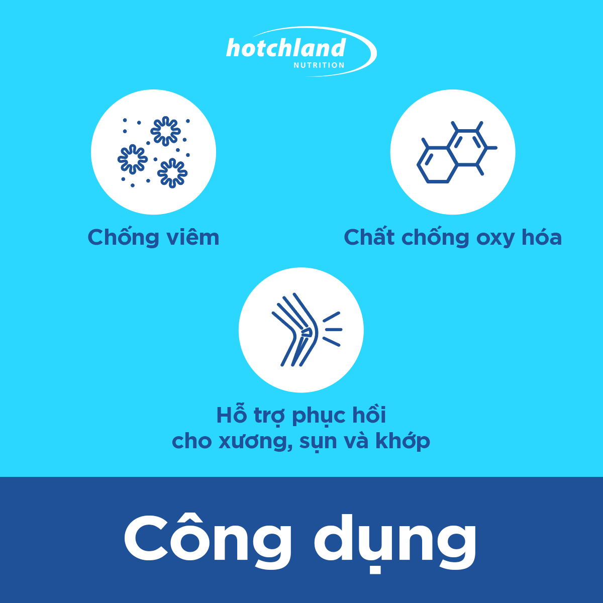 Viên uống xương khớp Glucosamine hỗ trợ tái tạo sụn khớp, giảm sưng đau khớp Mega Flex - Hàng chính hãng Hotchland Nutrition Việt Nam [Hộp 60 viên] - HL4646