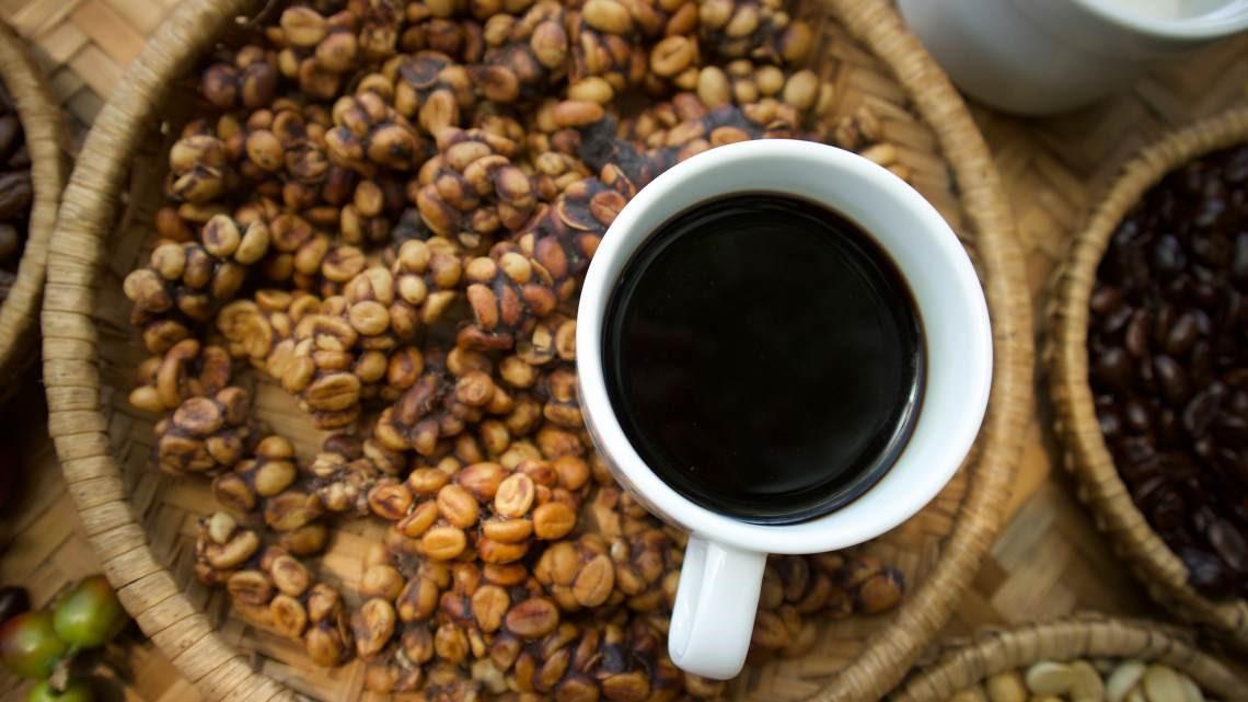 Tổng hợp 92 hình về mô hình cà phê chồn  NEC