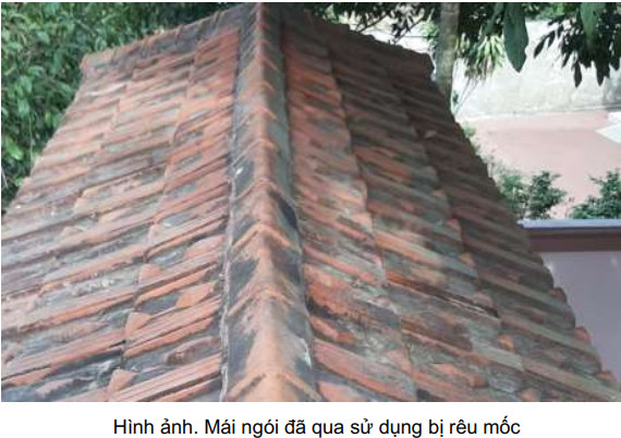 1lit] Hóa chất tẩy rêu mốc bám trên gạch ngói tẩy rửa cực mạch mà không ảnh hưởng đến bề mặt vật liệu.Bestclean c44.Chống thấm Vmix | Chống Thấm VMIX | Tiki