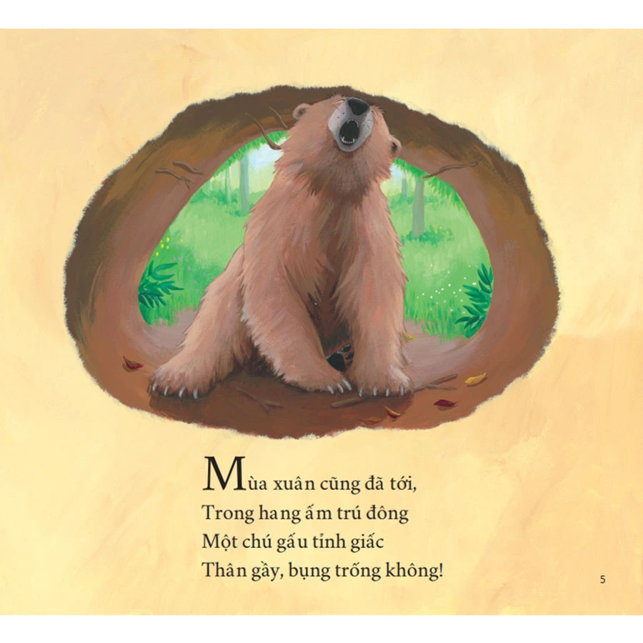 Bộ Sách Tranh Song Ngữ Gấu Khôn Lớn