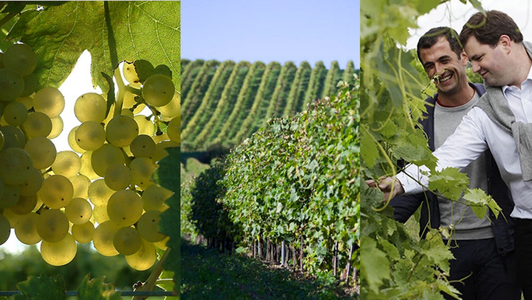 Rượu Cognac Hennessy Very Special - Kèm Hộp