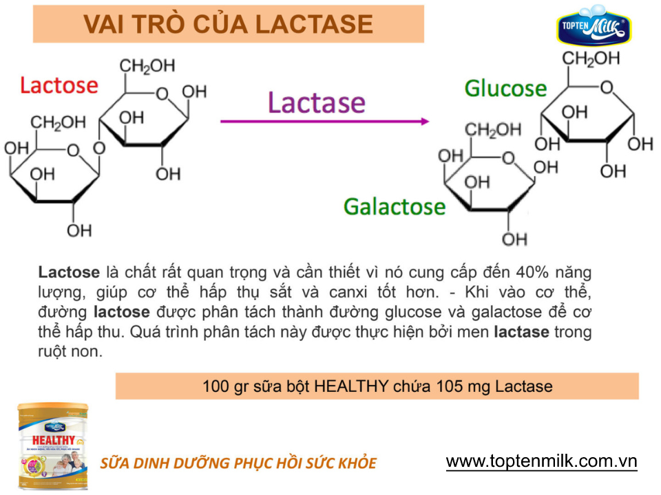 Sữa bột tăng cân,hổ trợ tiêu hóa healthy 800g topten milk