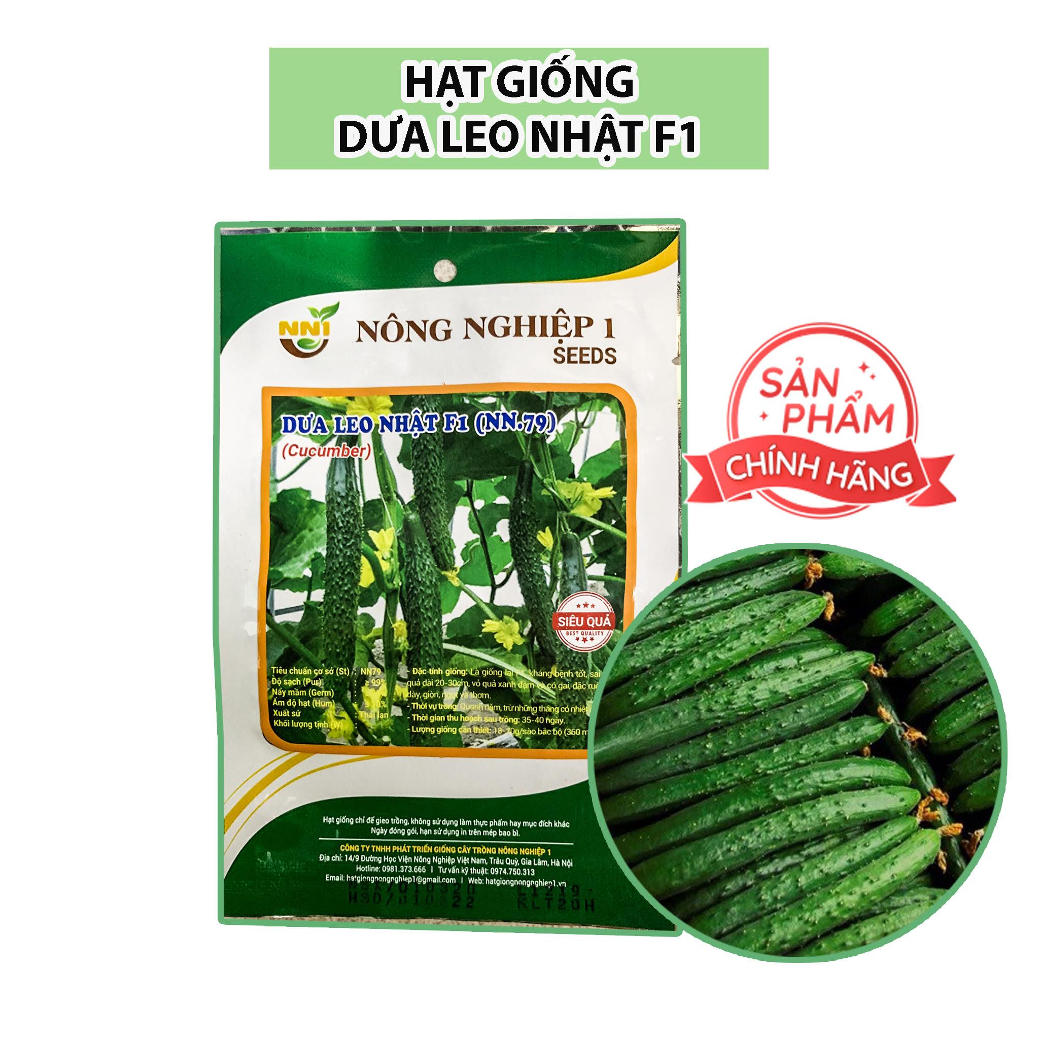 hat-giong-dua-leo-nhat-dua-chuot