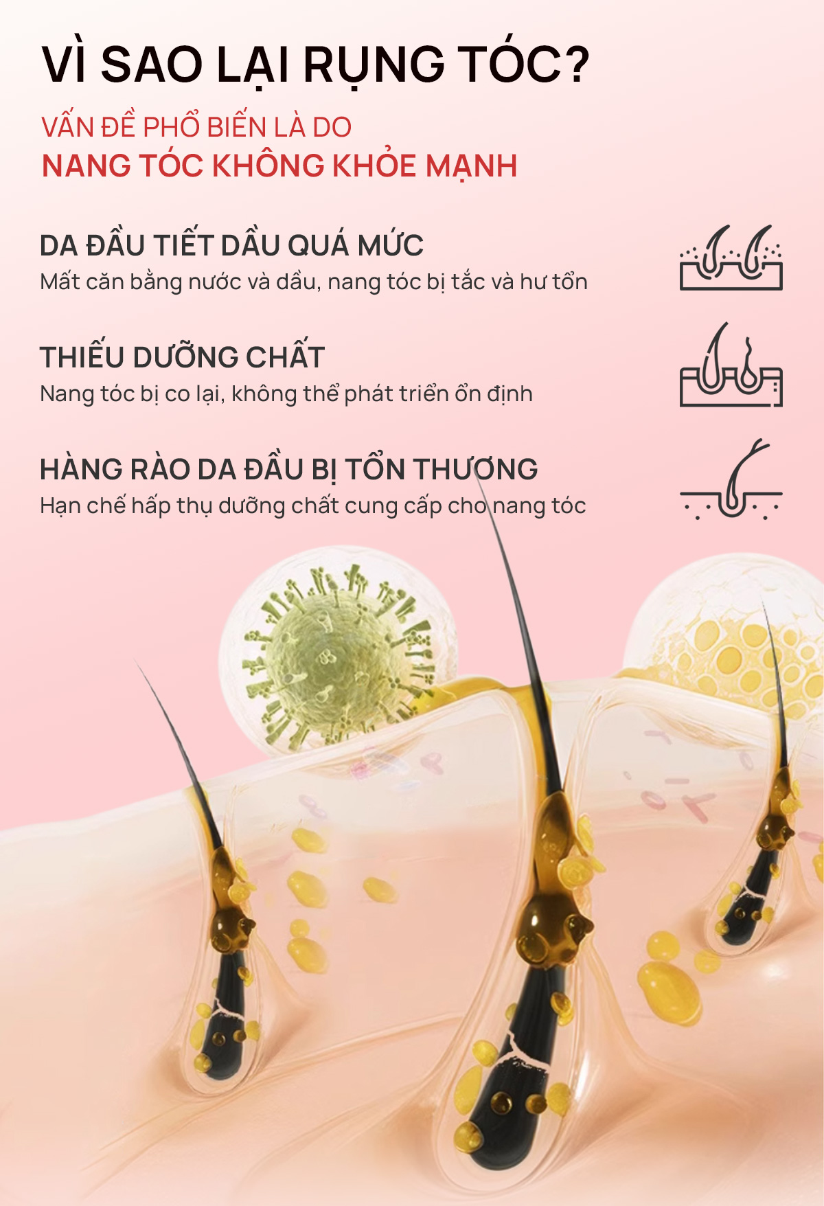 Dầu gội thảo dược Fresh Shampoo giảm rụng tóc, giảm gàu, nuôi dưỡng tóc mềm mượt và chắc khỏe từ gốc 500ml