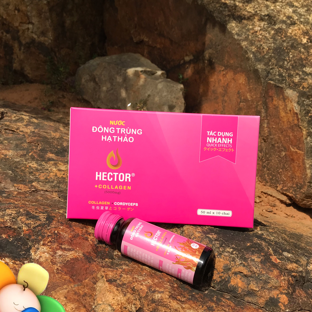 Combo 4 hộp 40 chai Đông trùng hạ thảo Hector Collagen Trẻ hóa nhanh