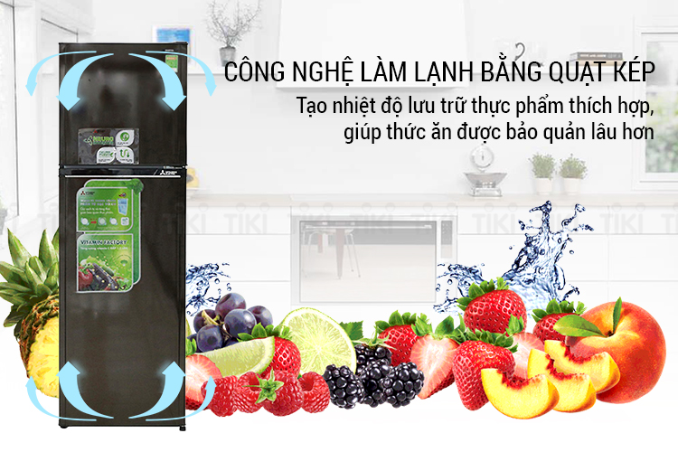 Tủ Lạnh Inverter Mitsubishi MR-FV28EJ-BR-V (231L)