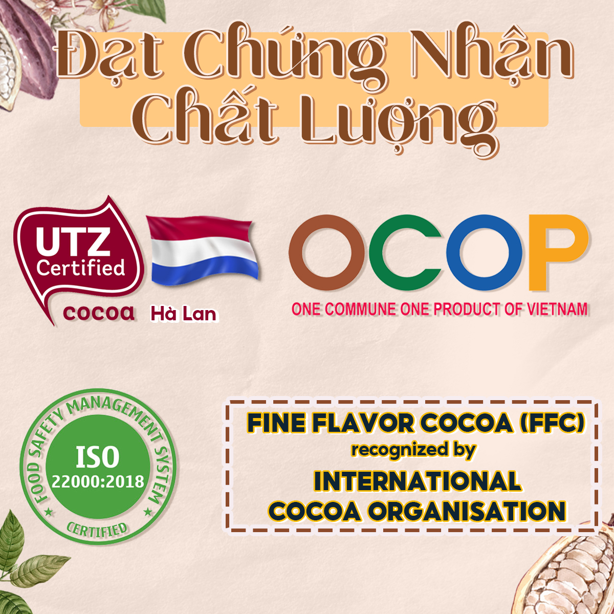 Heyday Bột Cacao Nguyên Chất Không Đường Việt Nam - Dòng Origin - Chứng Nhận UTZ - Hỗ Trợ Giảm Cân - Túi Giấy 250g