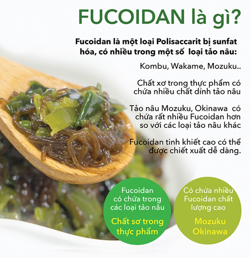 Fucoidan Genki Fami Nhật Bản, Tăng Cường Đề Kháng, Miễn Dịch, Hỗ Trợ Ngăn Ngừa Ung Bướu Hộp 150 viên