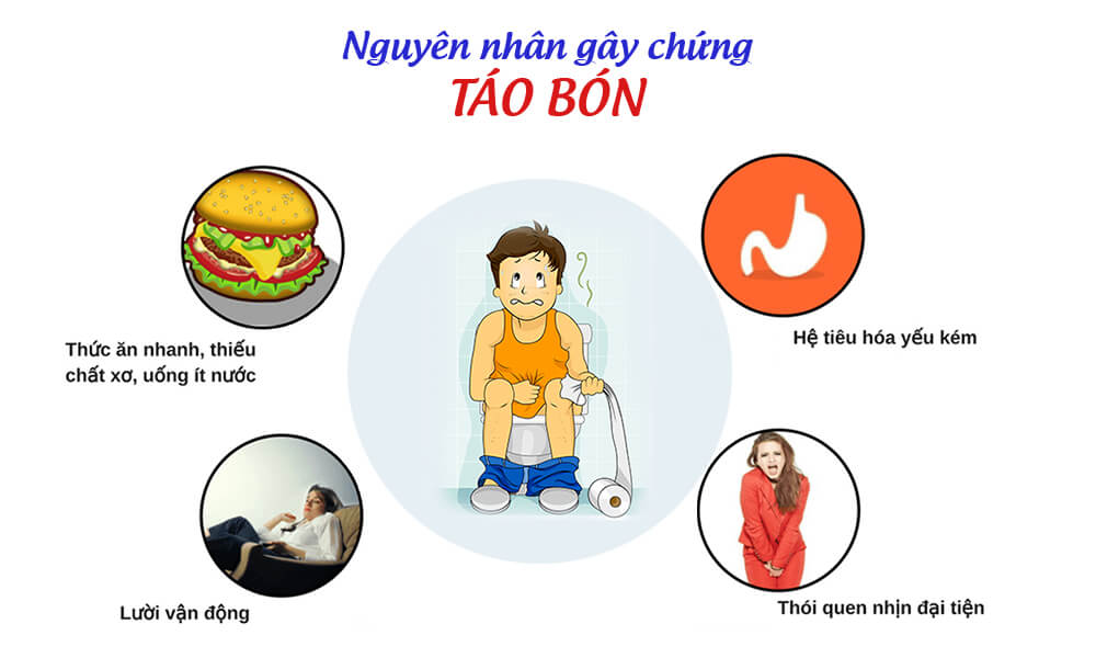 viên giấp cá chữa táo bón và trĩ