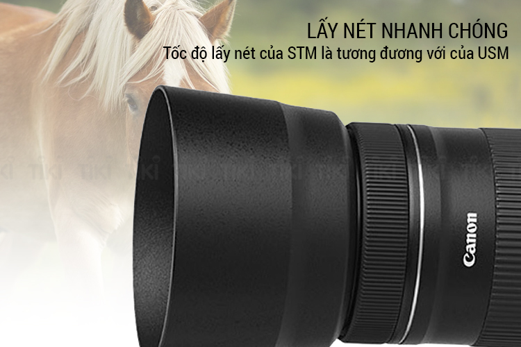 Lens Canon EF-S 55-250mm f/4-5.6 IS STM - Hàng Chính Hãng