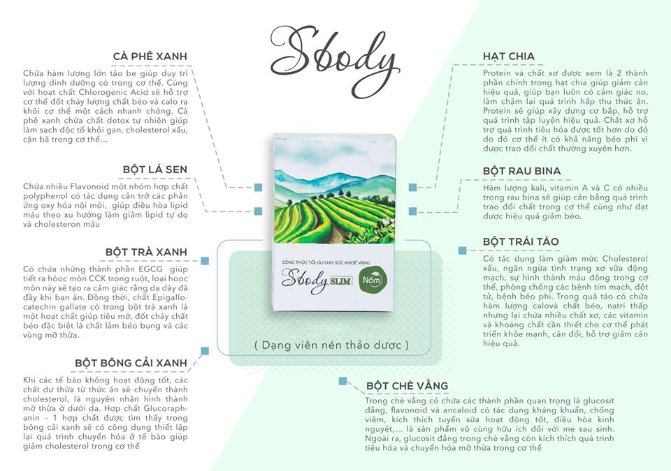 thành phần viên nén giảm cân nấm sbody slim