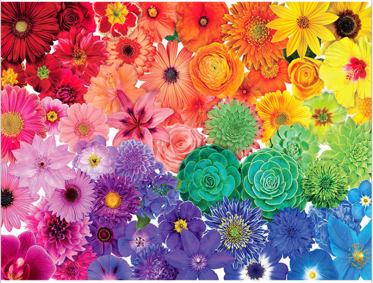 Mua Tranh Ghép Hình 1000 Mảnh Giấy Bồi Trắng Cao Cấp/Tranh Ghép Hình 1000  Mảnh Phong Cảnh/Sắc Hoa/Jigsaw Puzzle 1000 Từ 7 Tuổi/Puzzle 1000 Mảnh | Tiki