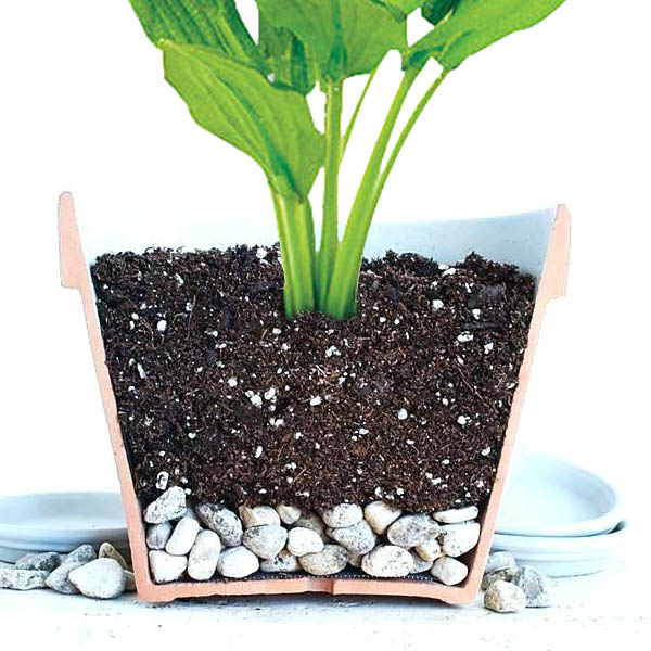 Cách trồng cây với chậu không có lỗ thoát nước