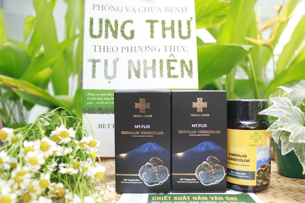 nấm vân chi núi phú sĩ - combo 5 hộp- tăng cường sức đề kháng, hệ miễn dịch 3