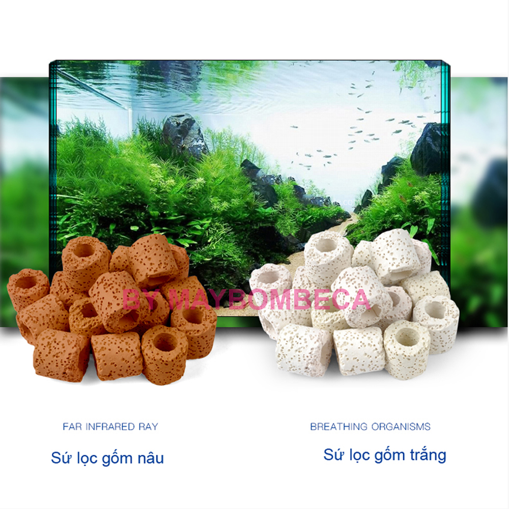 Sứ lọc bể cá