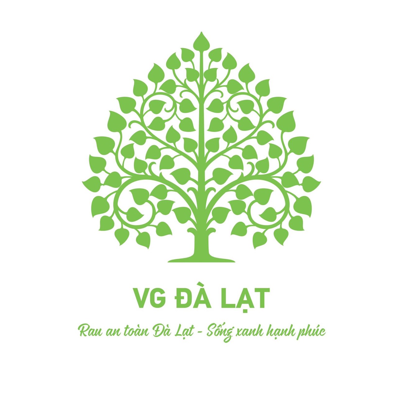 Rau Tươi Đà Lạt Cải Cầu Vồng Bó 500 Gram